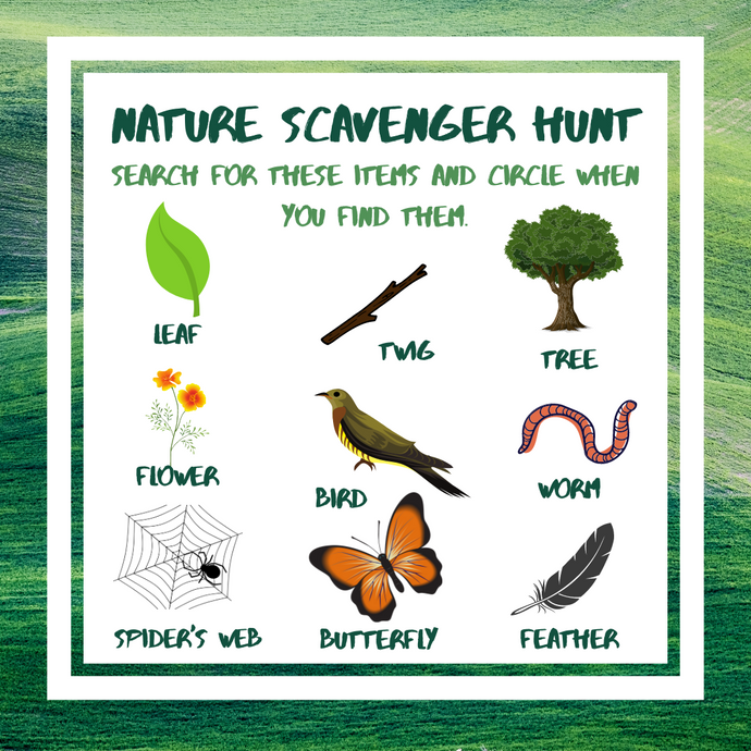 Nature Scavenger Hunt